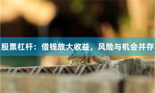 股票杠杆：借钱放大收益，风险与机会并存