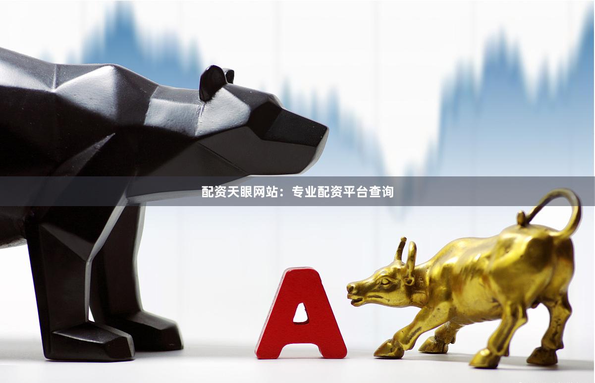 配资天眼网站：专业配资平台查询